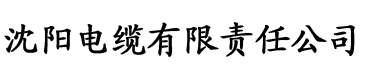 久操香蕉国内视频电缆厂logo